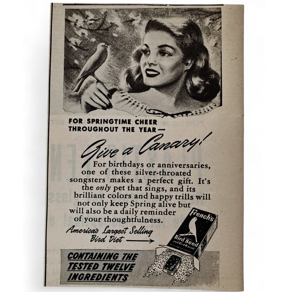 1946 Frenchs Bird Seed Print Ad Canary Gift Springtime Cheer Midcentury Ephemera